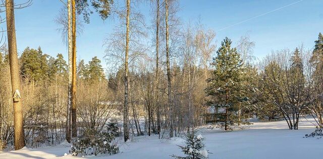 земля городской округ Одинцовский д Бородки Пыхтино, пос. Грибово фото