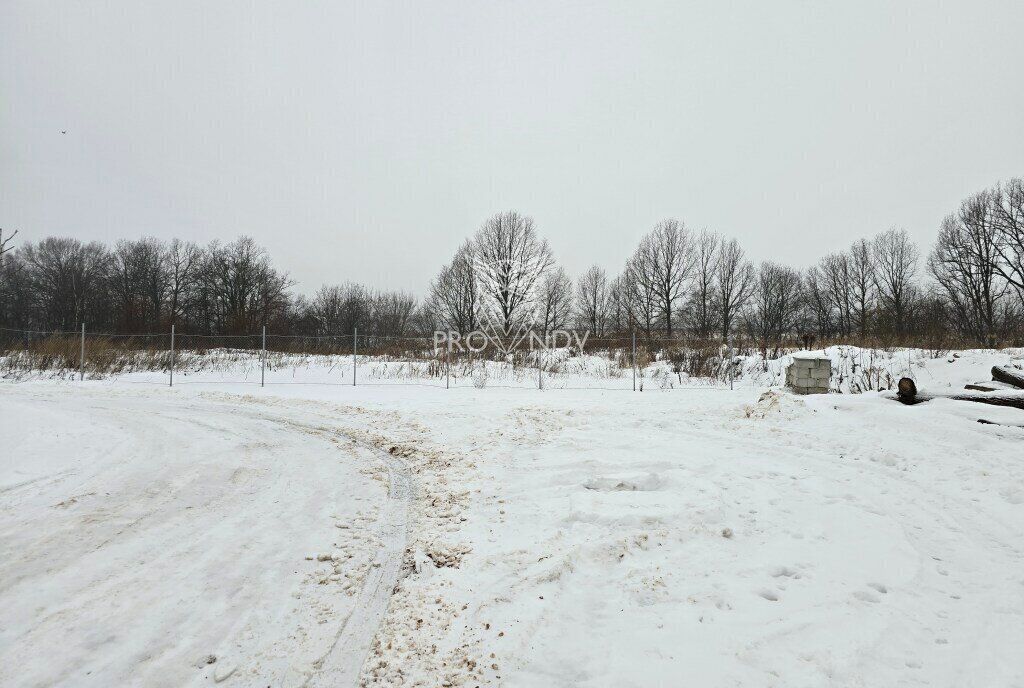 земля городской округ Пушкинский сельское поселение Царёвское, Медведково фото 6