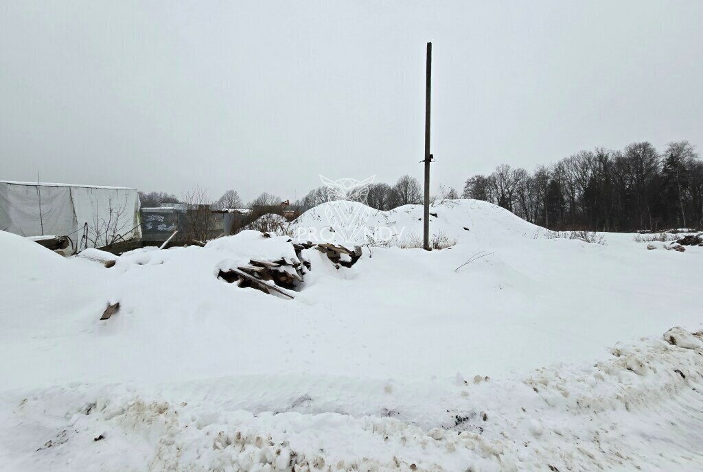 земля городской округ Пушкинский сельское поселение Царёвское, Медведково фото 13