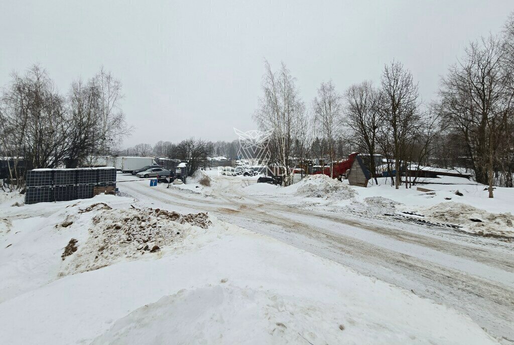 земля городской округ Пушкинский сельское поселение Царёвское, Медведково фото 19