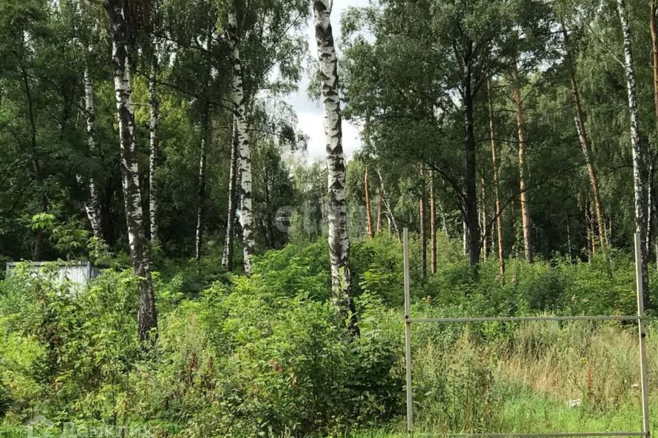 земля городской округ Люберцы Парк «Лесная опушка», Москва фото 6