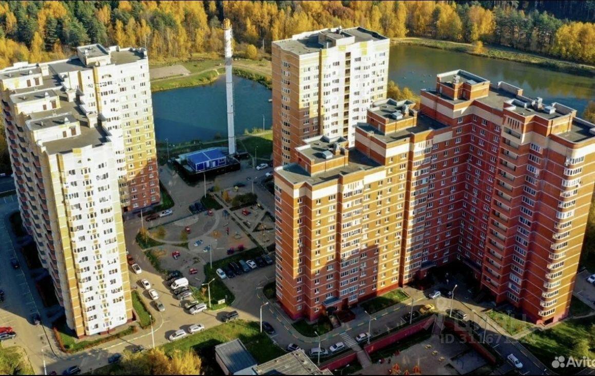 квартира городской округ Щёлково Щелково-7, ул. Неделина, 25 фото 2