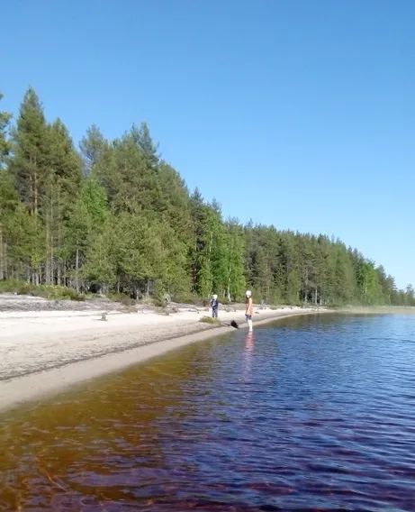 дом р-н Сегежский снт Каменка садоводческое товарищество фото 2