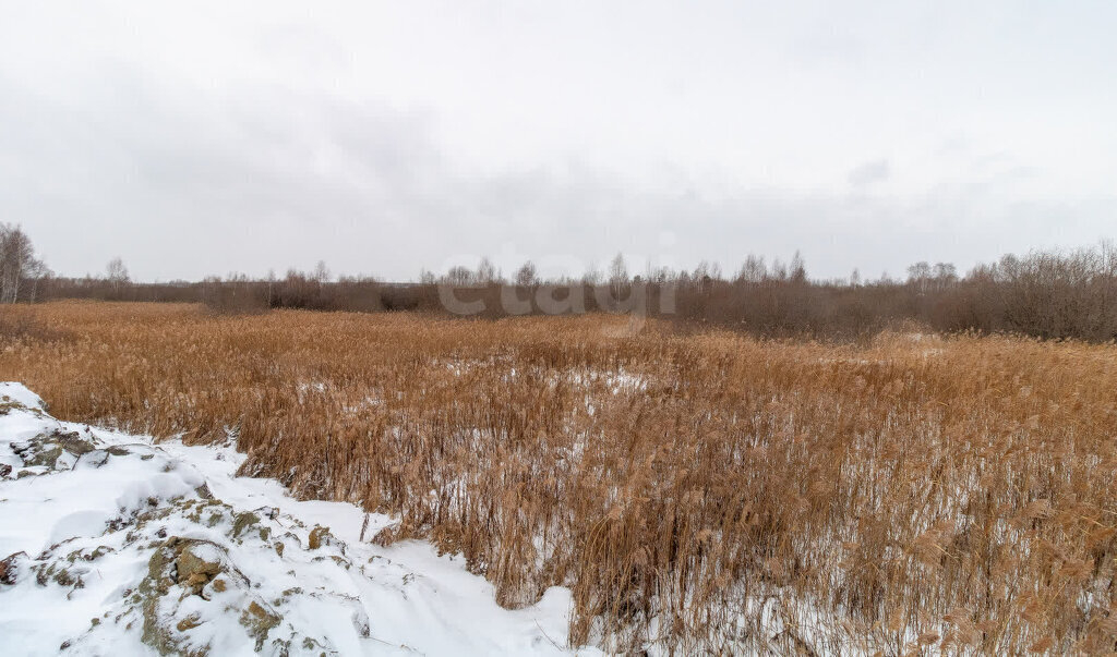 земля городской округ Рузский коттеджный посёлок ИЖС в Рузском Районе фото 1