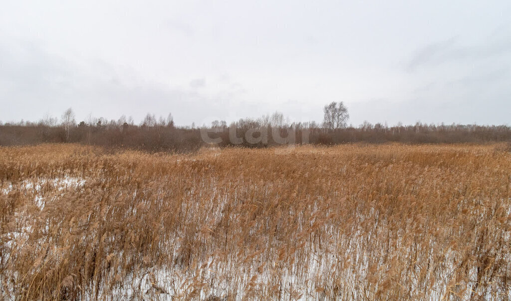 земля городской округ Рузский коттеджный посёлок ИЖС в Рузском Районе фото 1