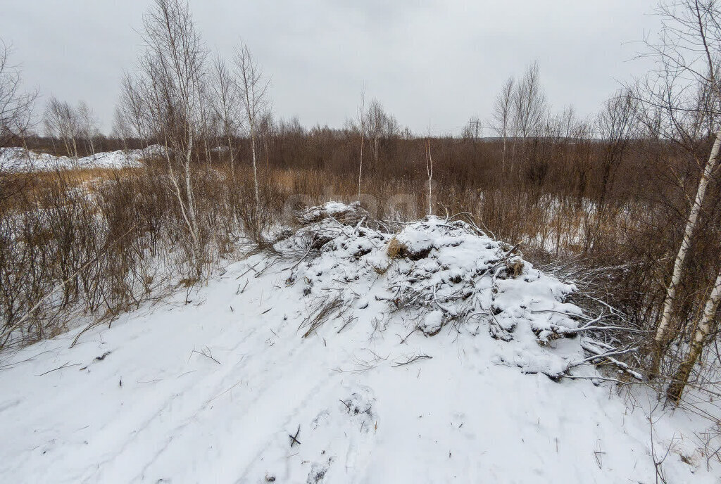 земля городской округ Рузский коттеджный посёлок ИЖС в Рузском Районе фото 1