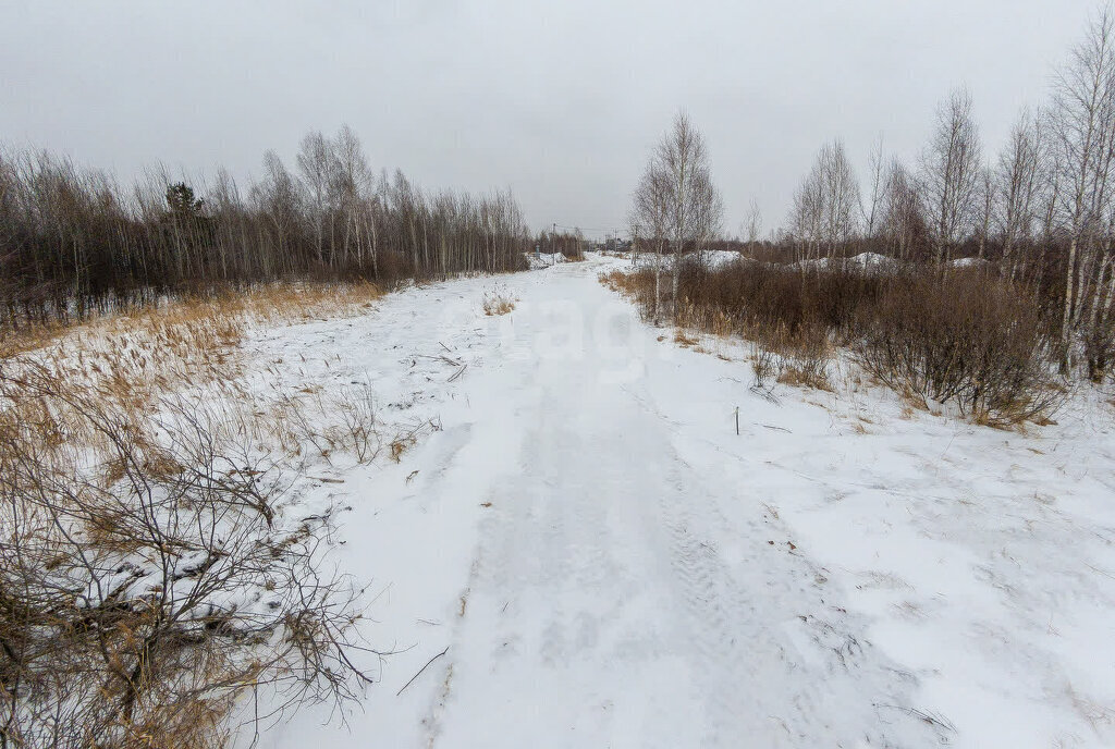 земля городской округ Рузский коттеджный посёлок ИЖС в Рузском Районе фото 4