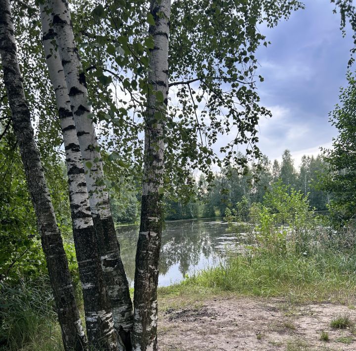 дом городской округ Орехово-Зуевский д Савостьяново снт Текстильщик 288 фото 25