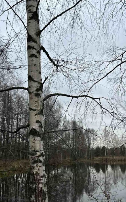 дом городской округ Орехово-Зуевский д Савостьяново снт Текстильщик 288 фото 35