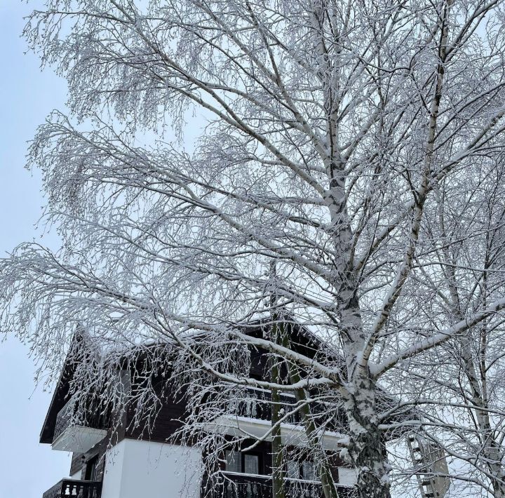 дом городской округ Дмитровский д Курово фото 1