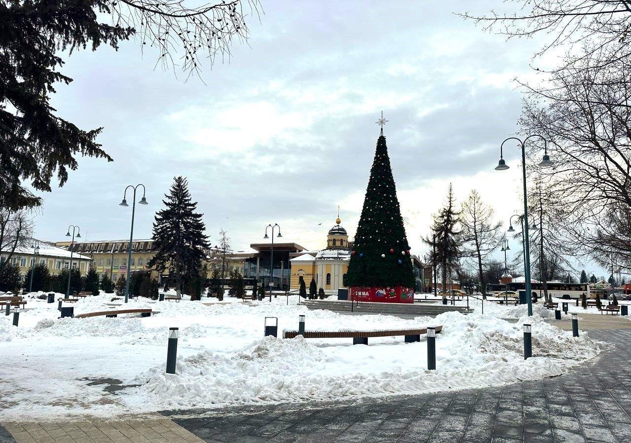 земля городской округ Раменский д Клишева 28 км, Раменское, Егорьевское шоссе фото 15