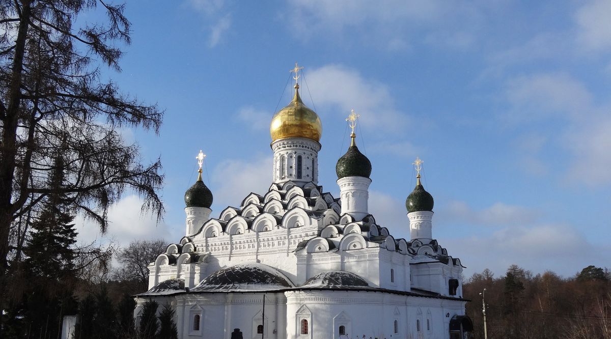 дом городской округ Красногорск с Николо-Урюпино Аникеевка фото 25