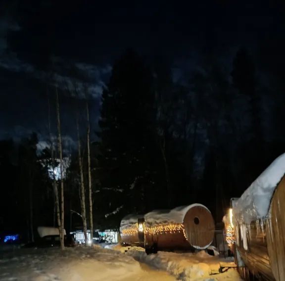 дом р-н Городецкий Большой Суходол 2 тер., 8А фото 4