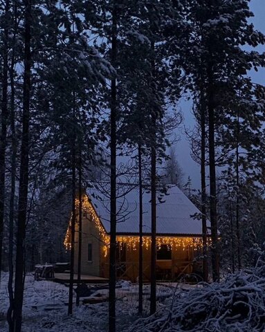 г Северодвинск снт Пеньки муниципальное образование фото