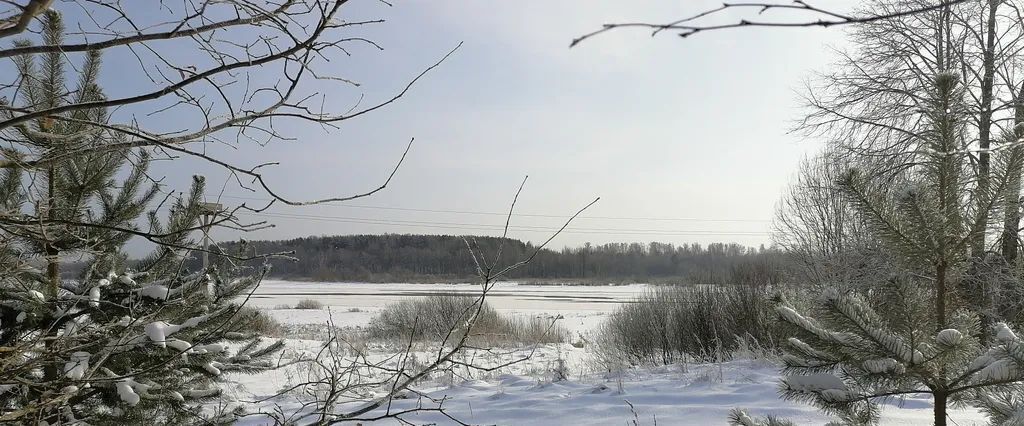 дом р-н Новгородский д Котовицы ул Драгунская 38а Трубичинское с/пос фото 30