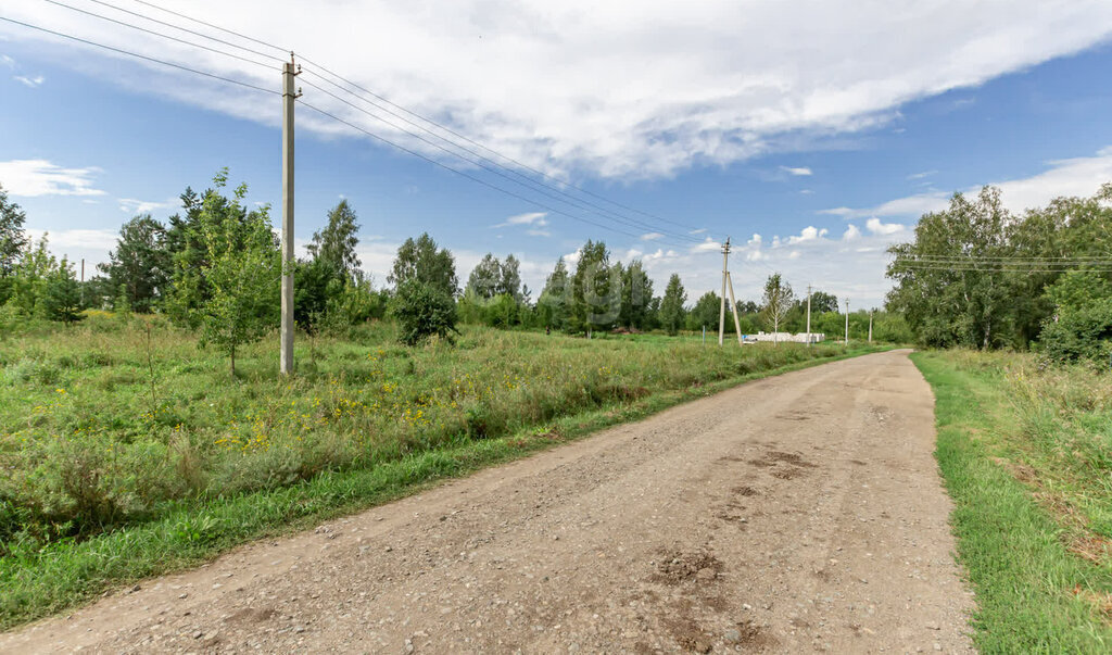 земля г Барнаул п Бельмесево ул Лесопарковая фото 4