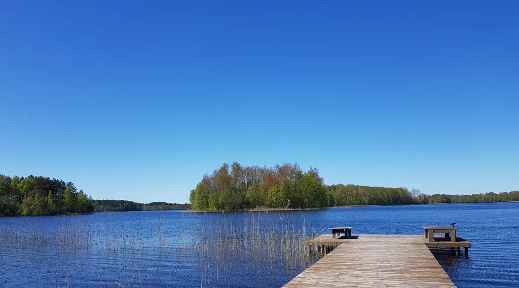 дом р-н Опочецкий д Камено фото 1