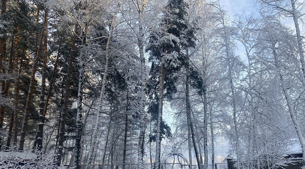 дом городской округ Раменский д Шмеленки ул Земляничная 32 Кратово фото 29