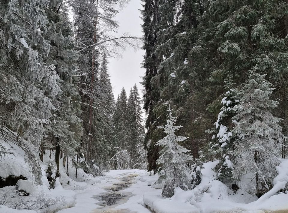 дом р-н Лахденпохский п Куркиеки фото 47