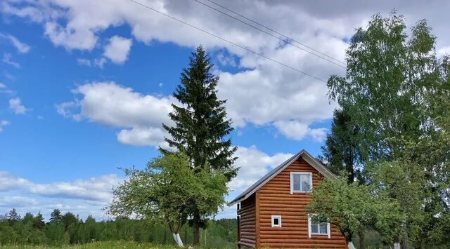 д Блажи Пушкиногорье муниципальное образование, 24 фото