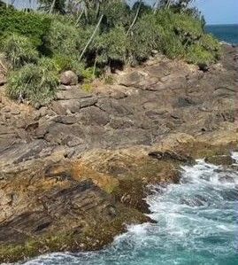 дом р-н Лискинский с Залужное ул Гагарина Залуженское сельское поселение, Лиски фото 2