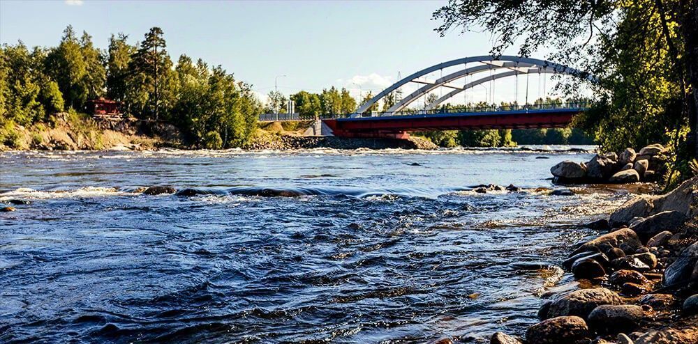 дом р-н Всеволожский д Корабсельки Бугровское городское поселение, Парнас, ш. Приозерское, 2 фото 3