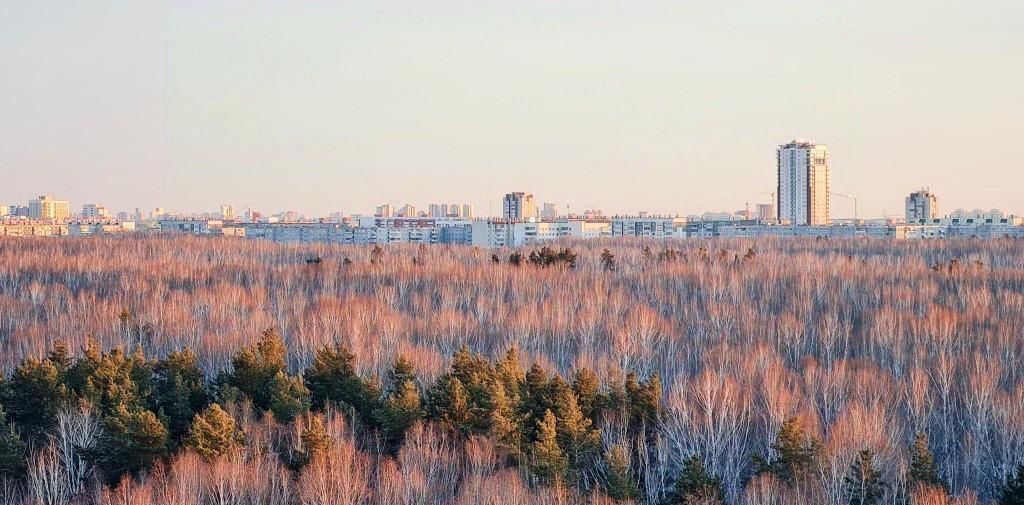 квартира г Челябинск р-н Курчатовский пр-кт Краснопольский 9 фото 9