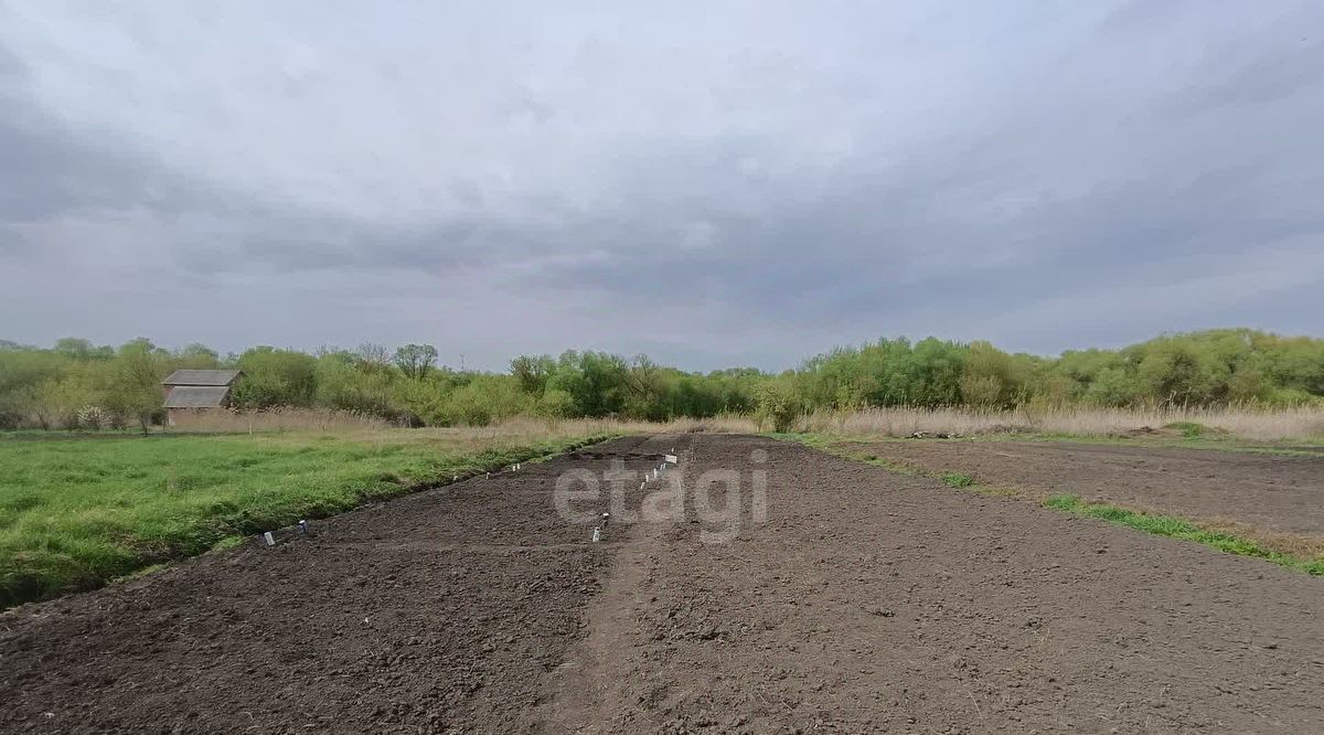 дом р-н Вейделевский п Вейделевка ул Свободы фото 5