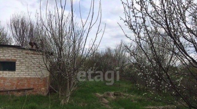 дом р-н Валуйский г Валуйки ул Свободы фото 14