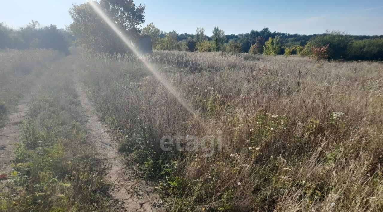 земля р-н Корочанский х Постников снт Сказка Мелиховское с/пос фото 3