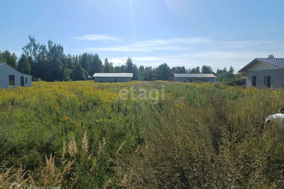 земля р-н Псковский Балтия фото 1