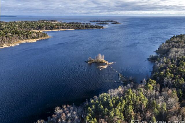 снт Сампо Береговая улица, 90 фото