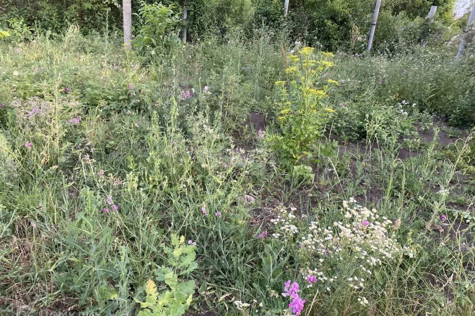 земля г Ставрополь Ставрополь городской округ, СТ Победа фото 2