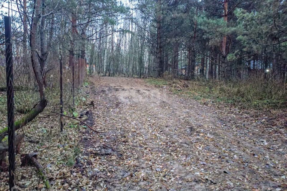 земля р-н Кемеровский д Журавлево Кемеровская область — Кузбасс, СНТ Журавли фото 3