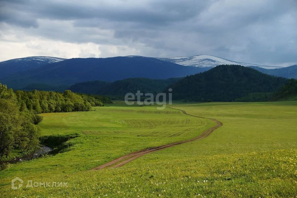 земля р-н Алтайский с Алтайское Заречная фото 4