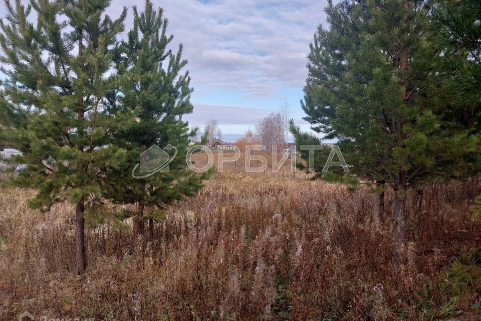 земля р-н Тюменский ДПК Новокаменский, Коттеджный посёлок Новокаменский фото 3