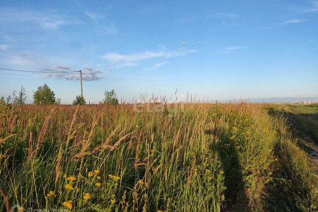 д Шоя-Кузнецово Йошкар-Ола городской округ, Строящееся здание фото