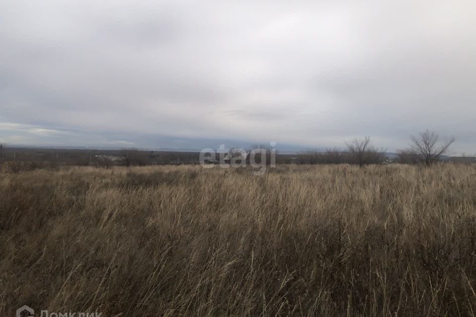 земля р-н Алтайский Белый Яр фото 9