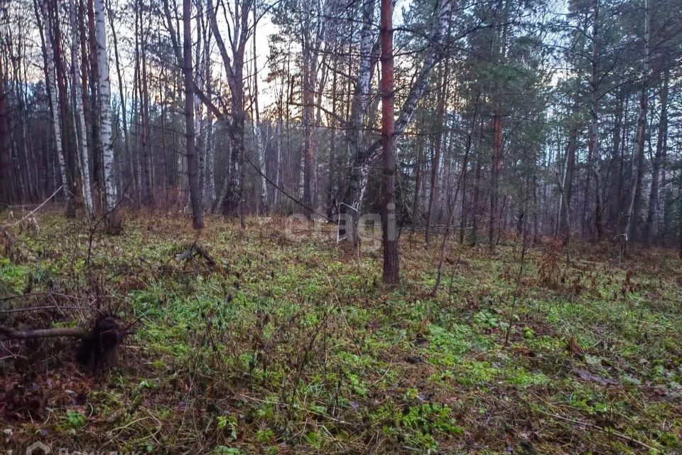 земля р-н Кемеровский д Журавлево Кемеровская область — Кузбасс, СНТ Журавли фото 7