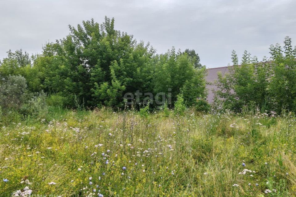 земля г Барнаул Барнаул городской округ, Молодость, Власиха фото 1