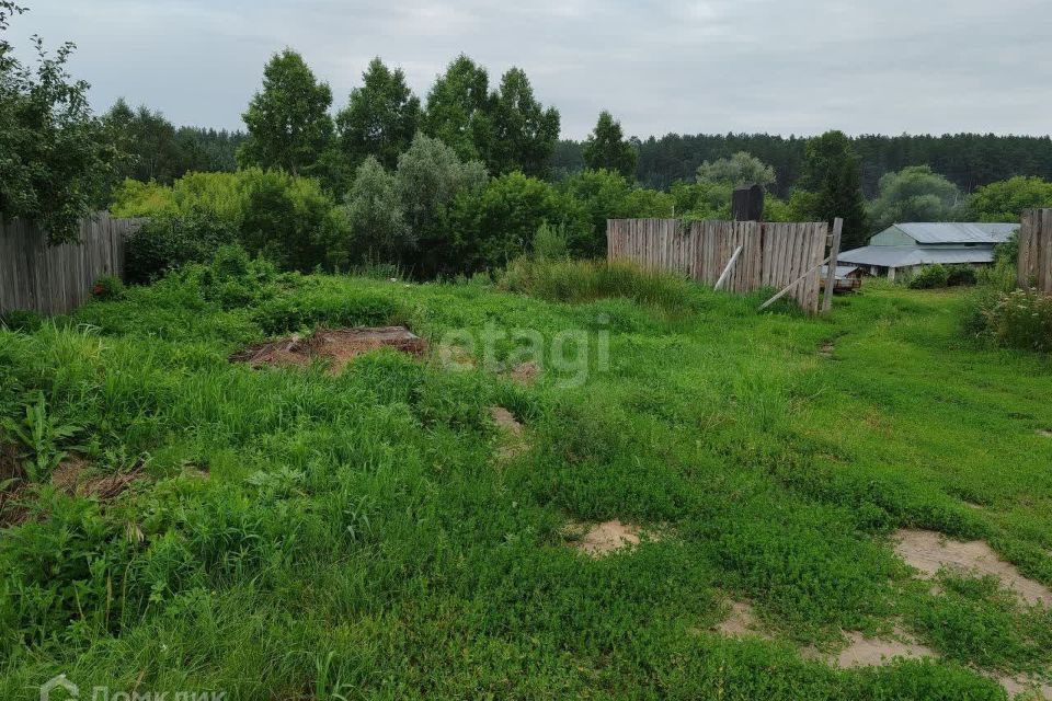 земля Барнаул городской округ, Барнаульский ленточный бор фото 1