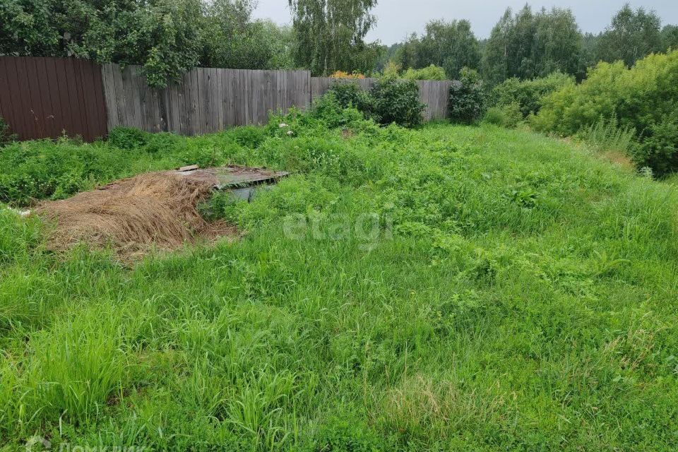 земля Барнаул городской округ, Барнаульский ленточный бор фото 2