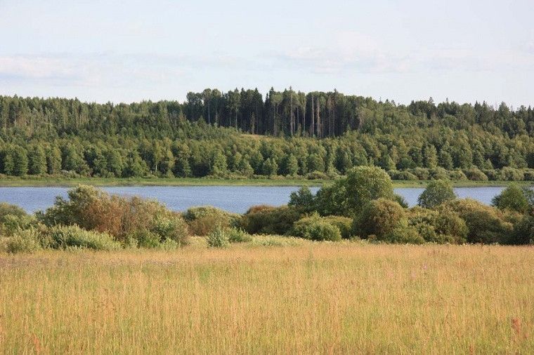 земля р-н Пермский Култаево фото 2