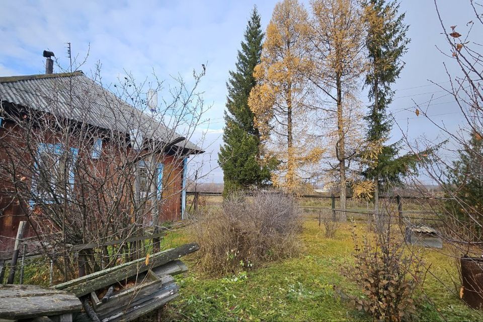 дом р-н Талицкий село Басмановское фото 3