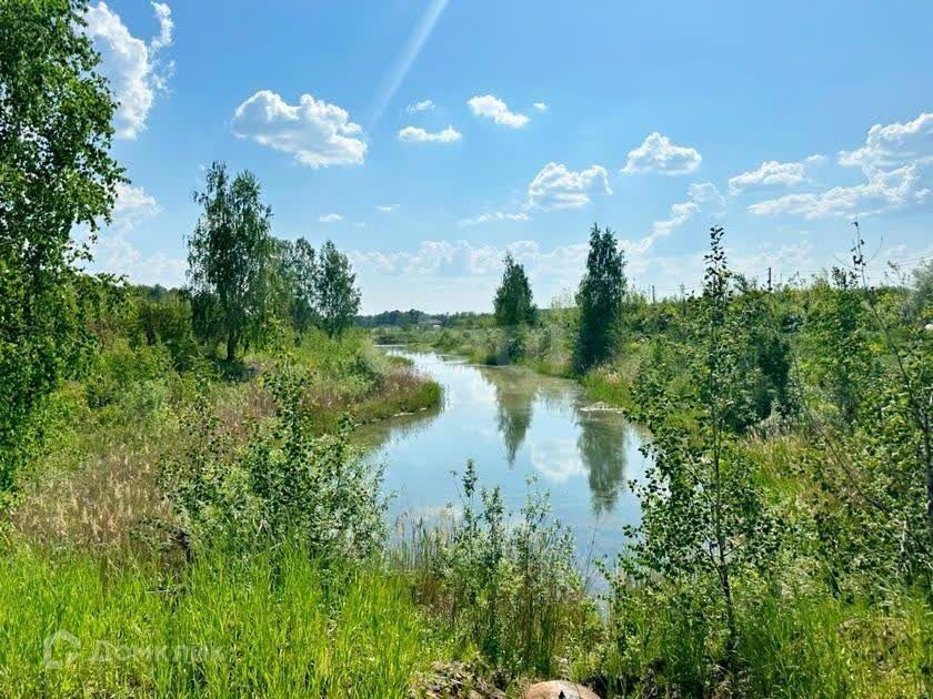 земля р-н Тюменский Елань фото 9