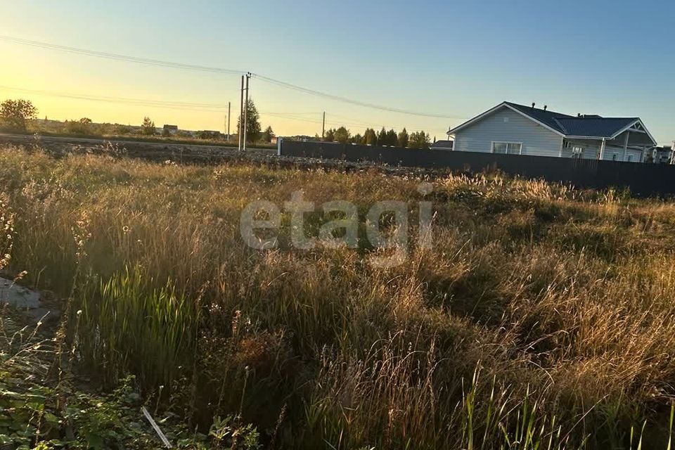 земля р-н Сосновский Садовый фото 7