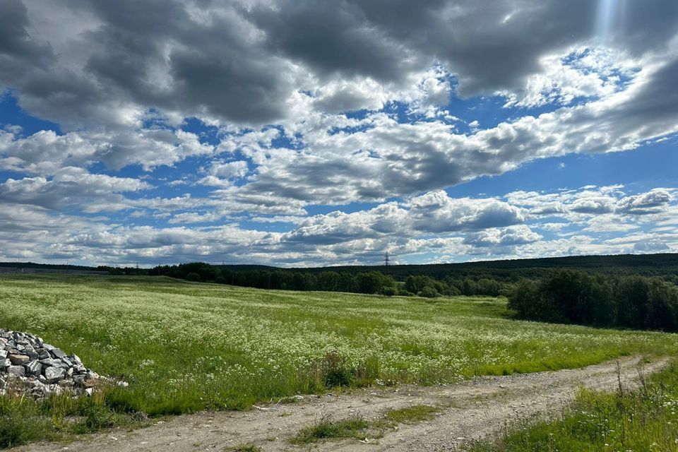 земля р-н Кольский фото 5