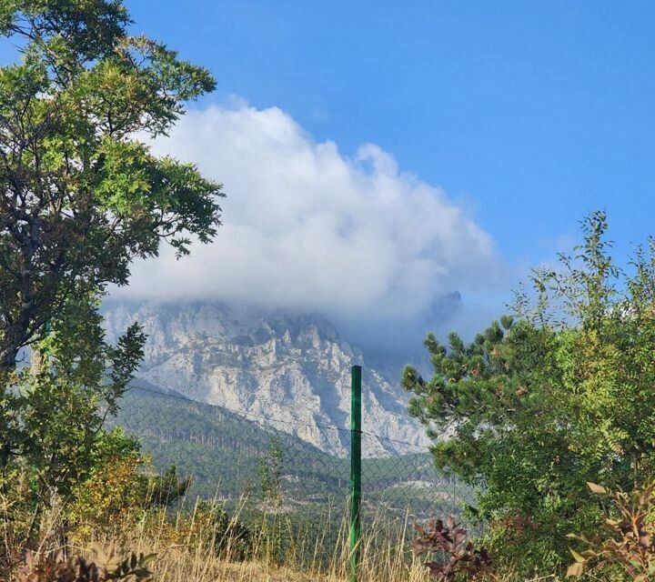 земля г Ялта г Алупка ш Севастопольское Ялта городской округ фото 5