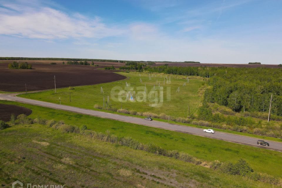 земля р-н Тюменский с Червишево Рябиновая фото 8