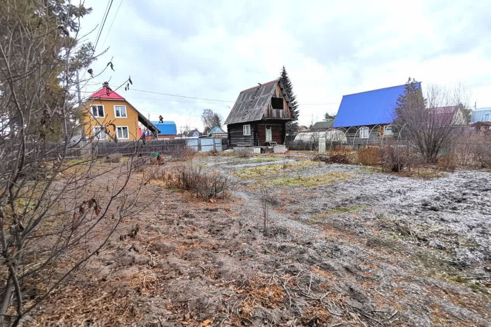 земля г Тюмень снт Лесная поляна ул Земляничная Тюмень городской округ фото 8